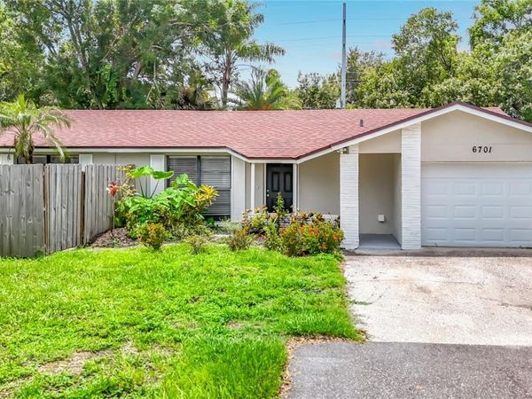 6701 VILLAGE GROVE COURT , TAMPA, FL 33615