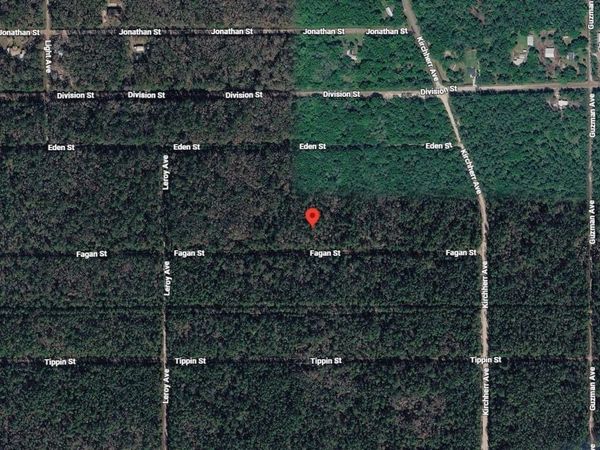 FAGAN STREET , HASTINGS, FL 32145