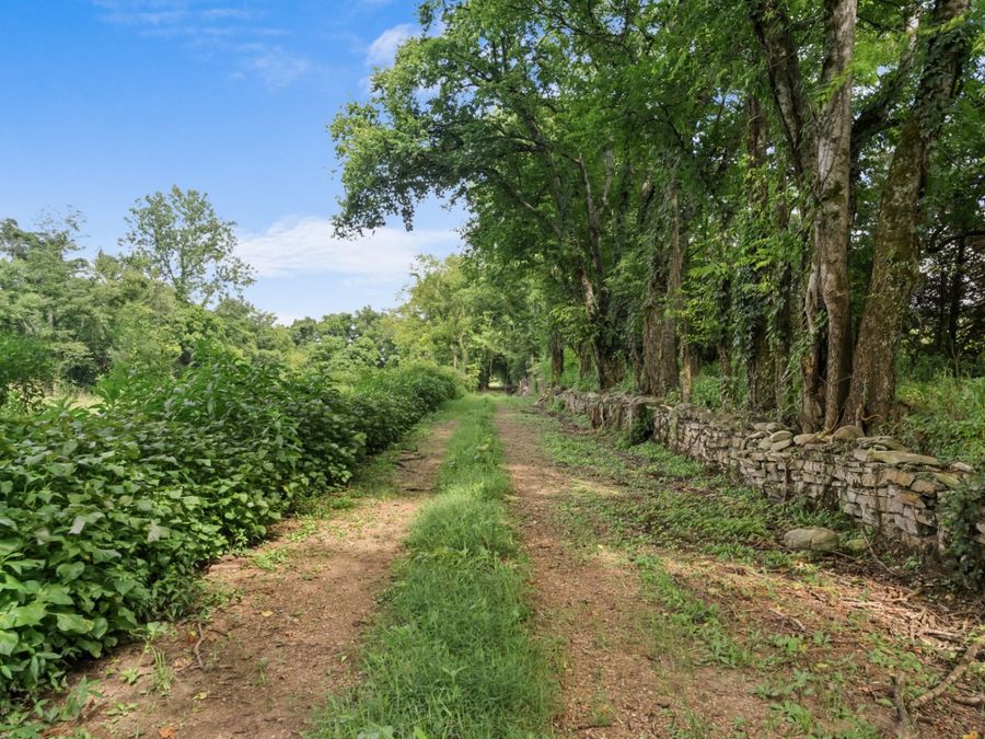 Property Image 60