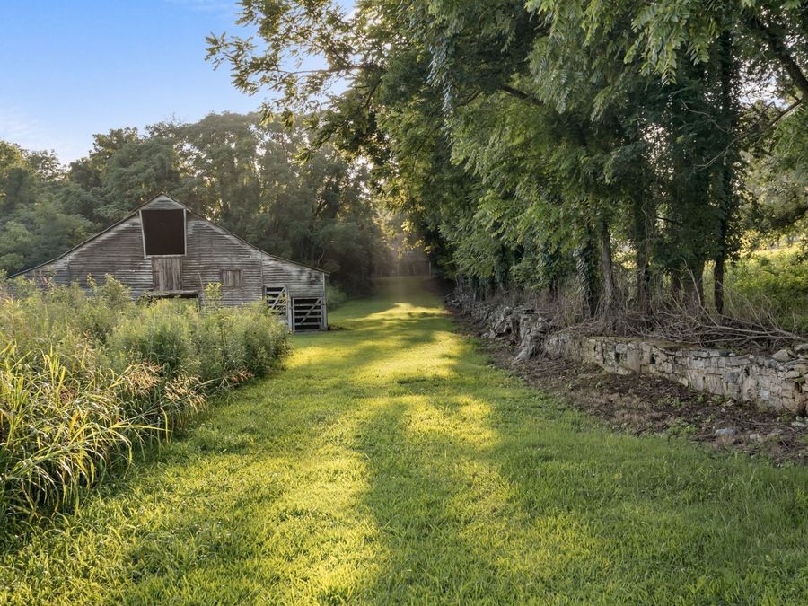 Property Image 34