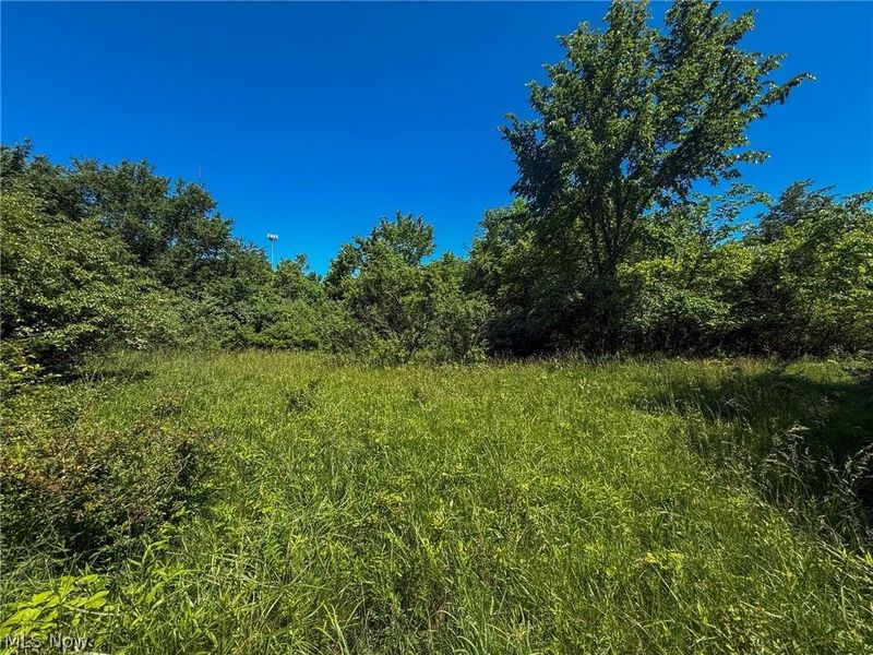 Lot 2 Altamont Rd, Mingo Junction, OH 43938 Photo 1
