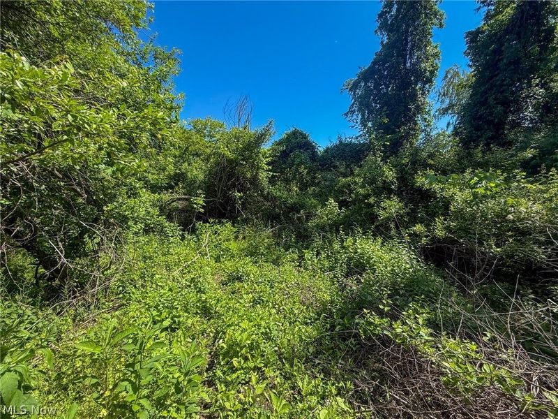 Lot 2 Altamont Rd, Mingo Junction, OH 43938 Photo 10