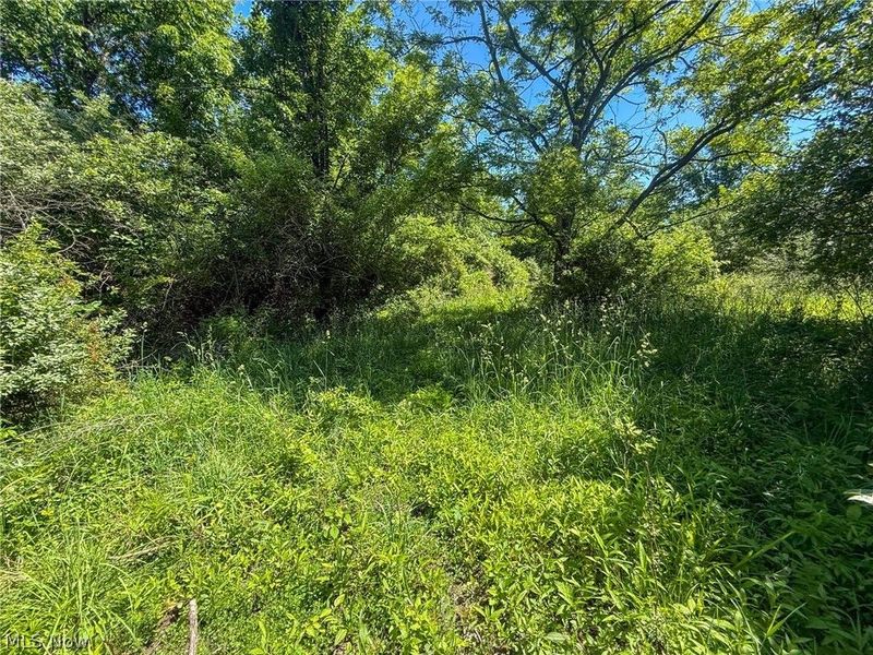 Lot 2 Altamont Rd, Mingo Junction, OH 43938 Photo 11