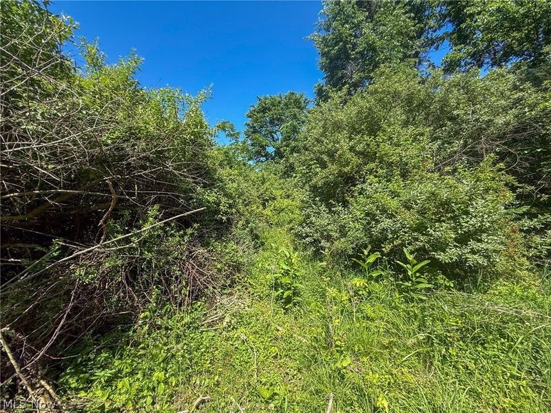 Lot 2 Altamont Rd, Mingo Junction, OH 43938 Photo 12