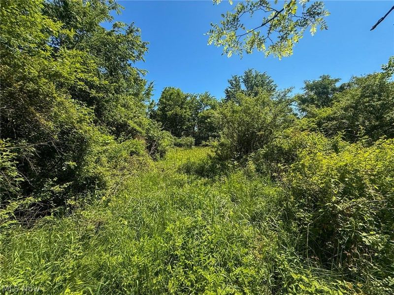Lot 2 Altamont Rd, Mingo Junction, OH 43938 Photo 13