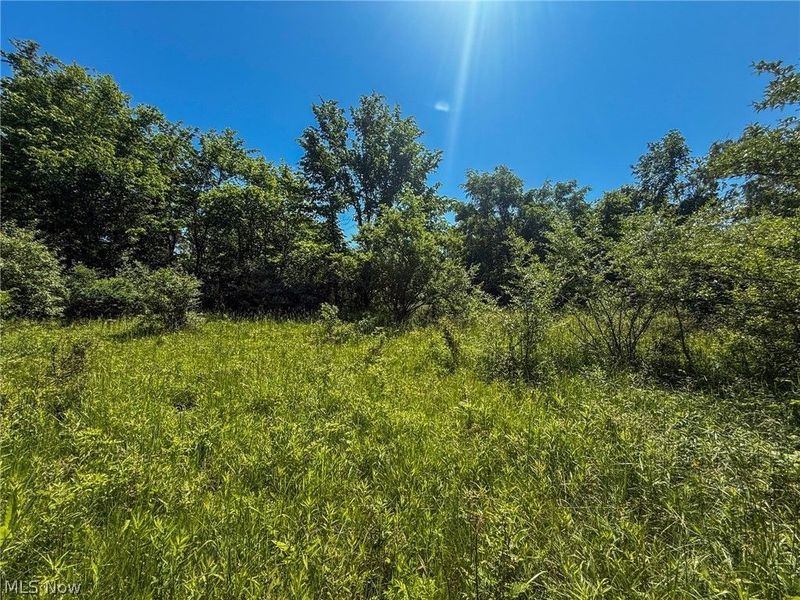 Lot 2 Altamont Rd, Mingo Junction, OH 43938 Photo 14