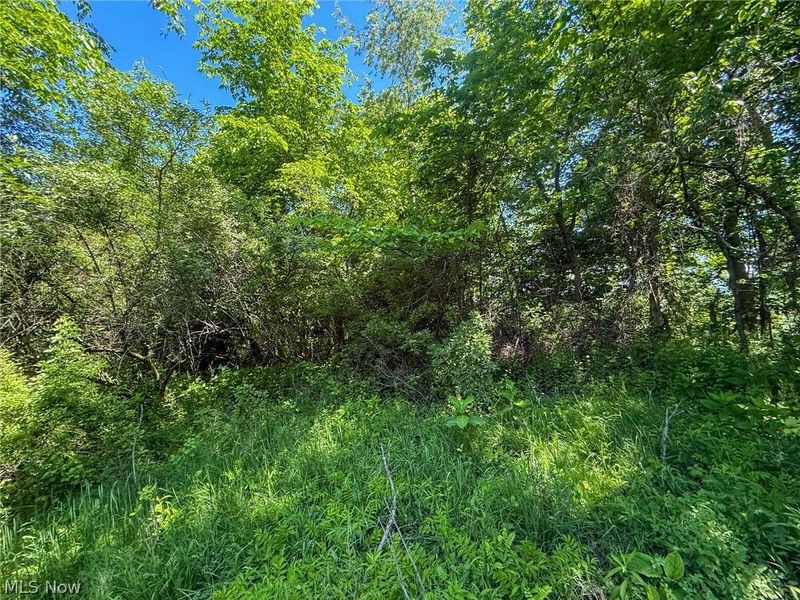 Lot 2 Altamont Rd, Mingo Junction, OH 43938 Photo 15