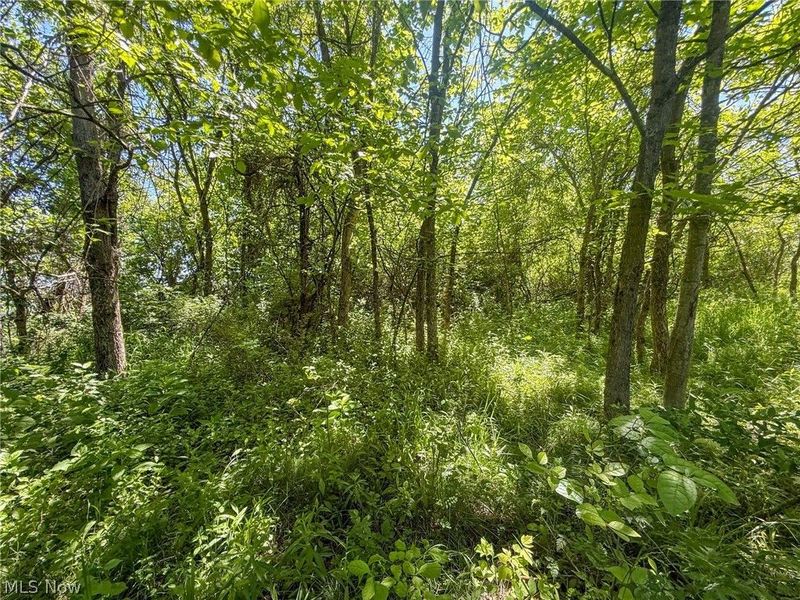 Lot 2 Altamont Rd, Mingo Junction, OH 43938 Photo 16