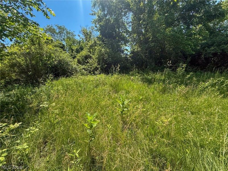 Lot 2 Altamont Rd, Mingo Junction, OH 43938 Photo 17