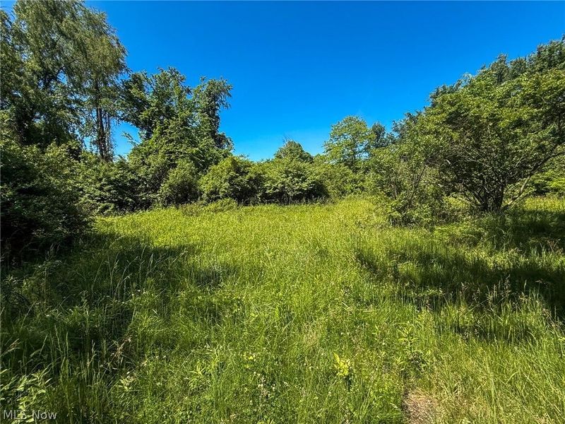 Lot 2 Altamont Rd, Mingo Junction, OH 43938 Photo 18