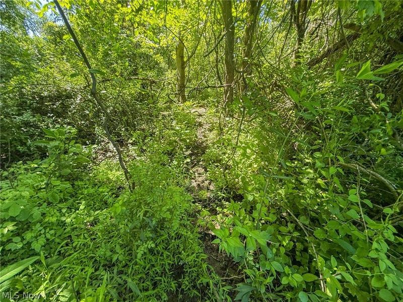 Lot 2 Altamont Rd, Mingo Junction, OH 43938 Photo 19