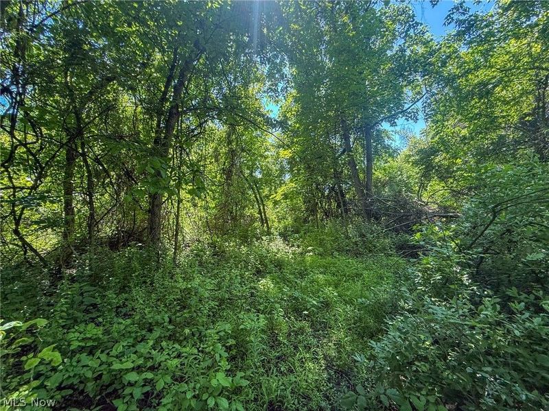 Lot 2 Altamont Rd, Mingo Junction, OH 43938 Photo 20