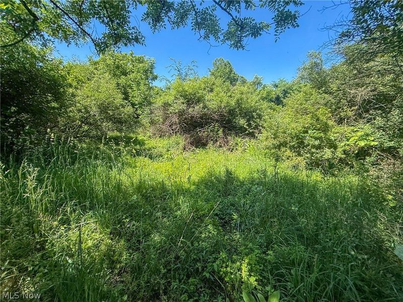Lot 2 Altamont Rd, Mingo Junction, OH 43938 Photo 21