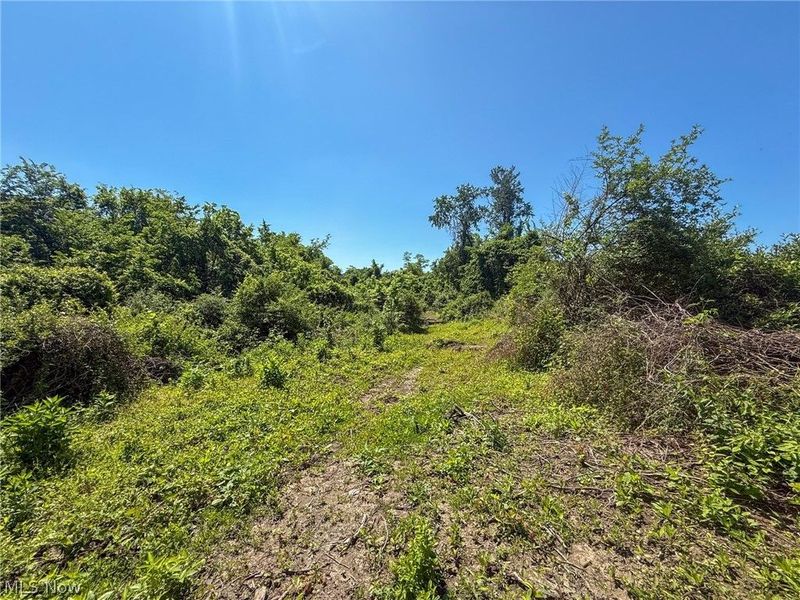 Lot 2 Altamont Rd, Mingo Junction, OH 43938 Photo 22
