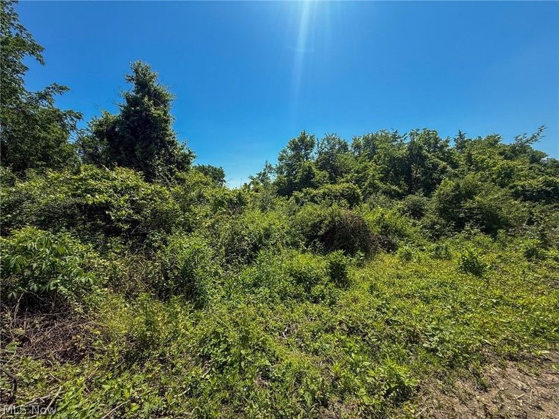 Lot 2 Altamont Rd, Mingo Junction, OH 43938 Photo 23