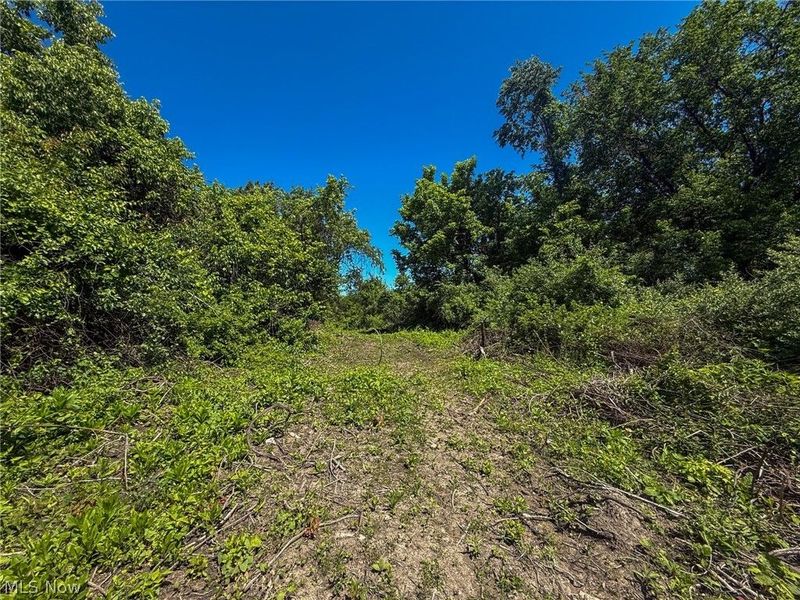 Lot 2 Altamont Rd, Mingo Junction, OH 43938 Photo 24