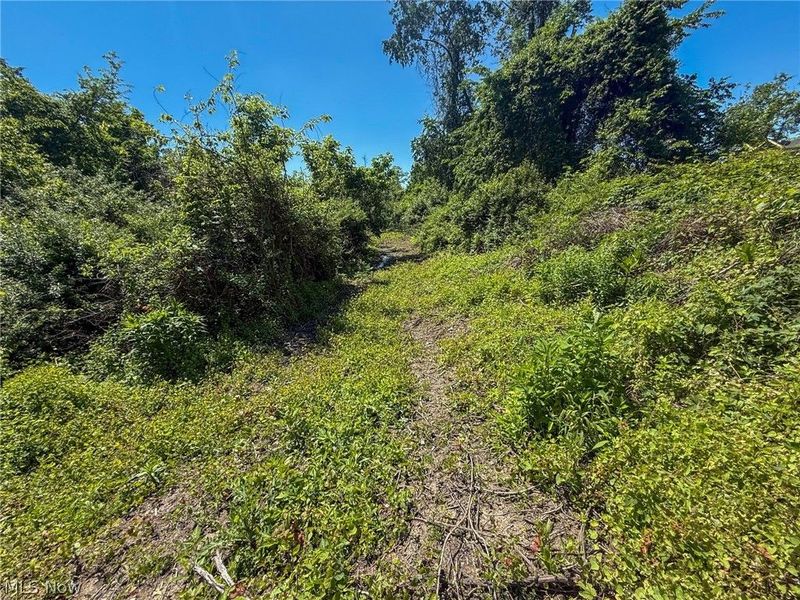 Lot 2 Altamont Rd, Mingo Junction, OH 43938 Photo 25