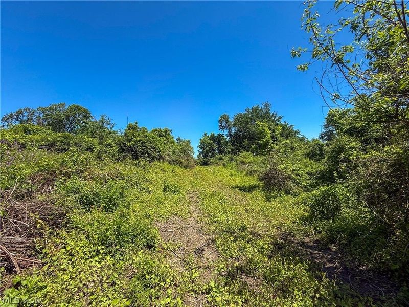 Lot 2 Altamont Rd, Mingo Junction, OH 43938 Photo 26