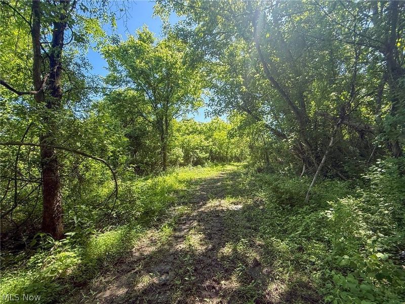 Lot 2 Altamont Rd, Mingo Junction, OH 43938 Photo 3