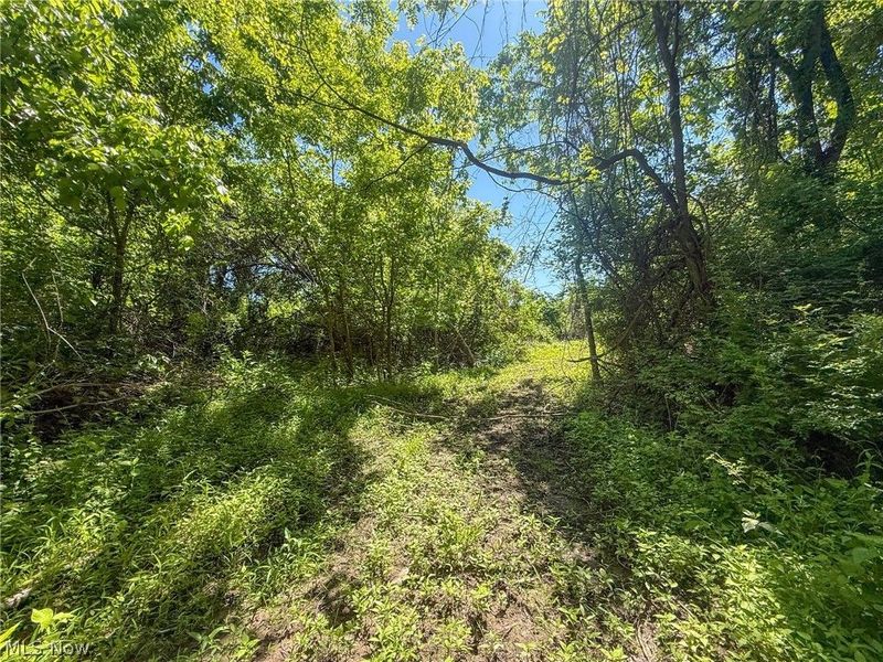 Lot 2 Altamont Rd, Mingo Junction, OH 43938 Photo 4