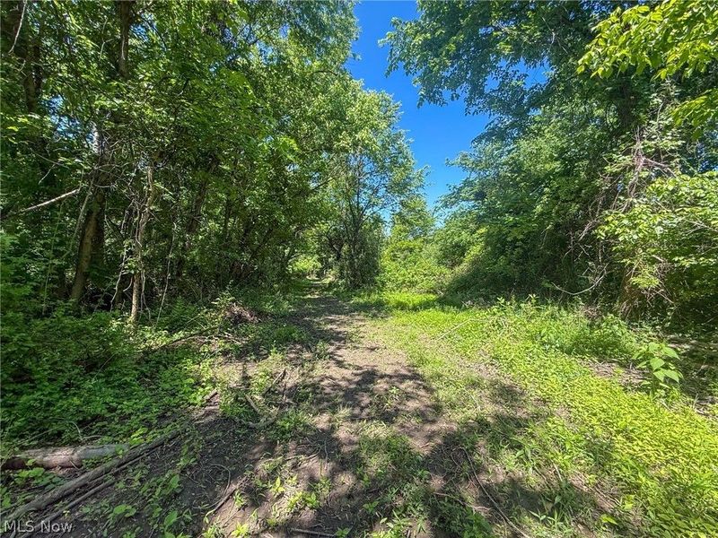 Lot 2 Altamont Rd, Mingo Junction, OH 43938 Photo 5