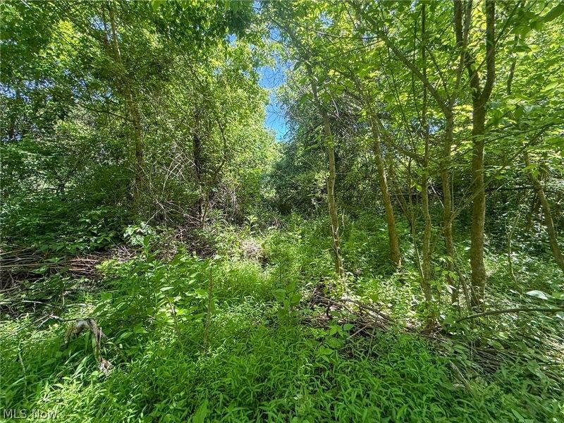 Lot 2 Altamont Rd, Mingo Junction, OH 43938 Photo 6