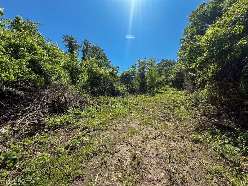 Lot 2 Altamont Rd, Mingo Junction, OH 43938 Photo 7