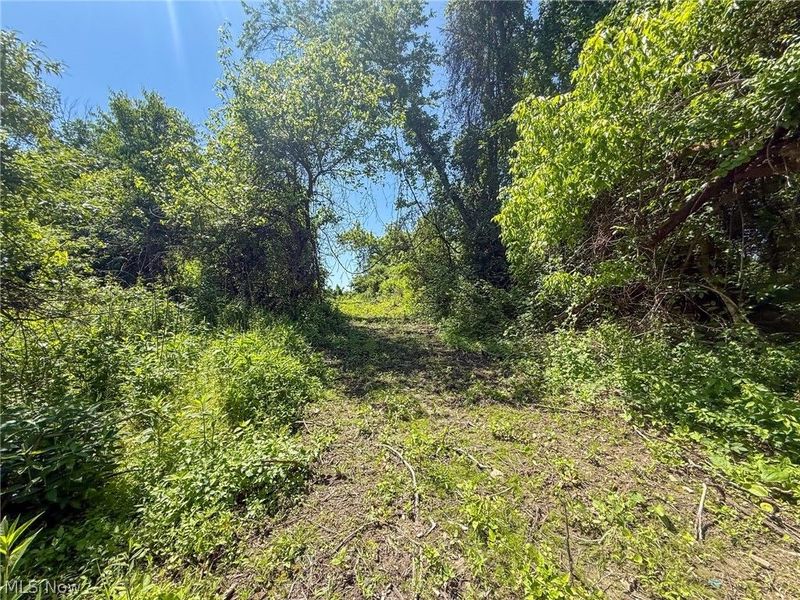 Lot 2 Altamont Rd, Mingo Junction, OH 43938 Photo 8