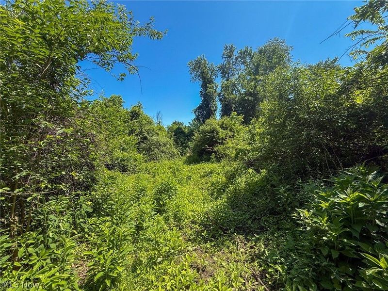 Lot 2 Altamont Rd, Mingo Junction, OH 43938 Photo 9