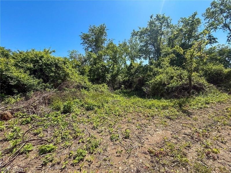 Lot 3 Altamont Rd, Mingo Junction, OH 43938 Photo 10