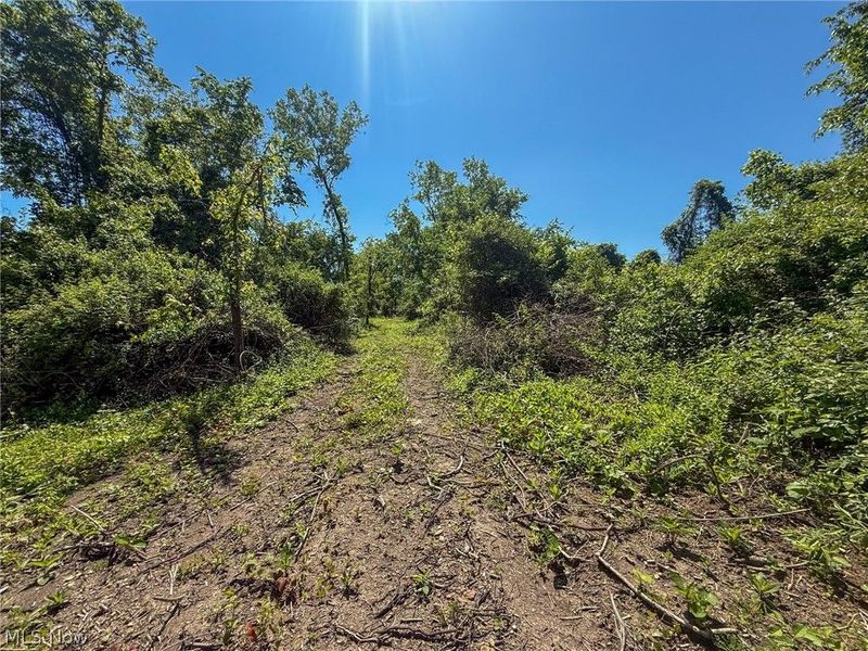 Lot 3 Altamont Rd, Mingo Junction, OH 43938 Photo 11