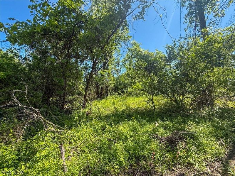 Lot 3 Altamont Rd, Mingo Junction, OH 43938 Photo 12