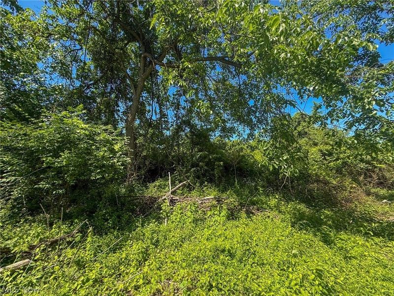 Lot 3 Altamont Rd, Mingo Junction, OH 43938 Photo 13