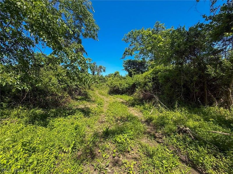 Lot 3 Altamont Rd, Mingo Junction, OH 43938 Photo 14