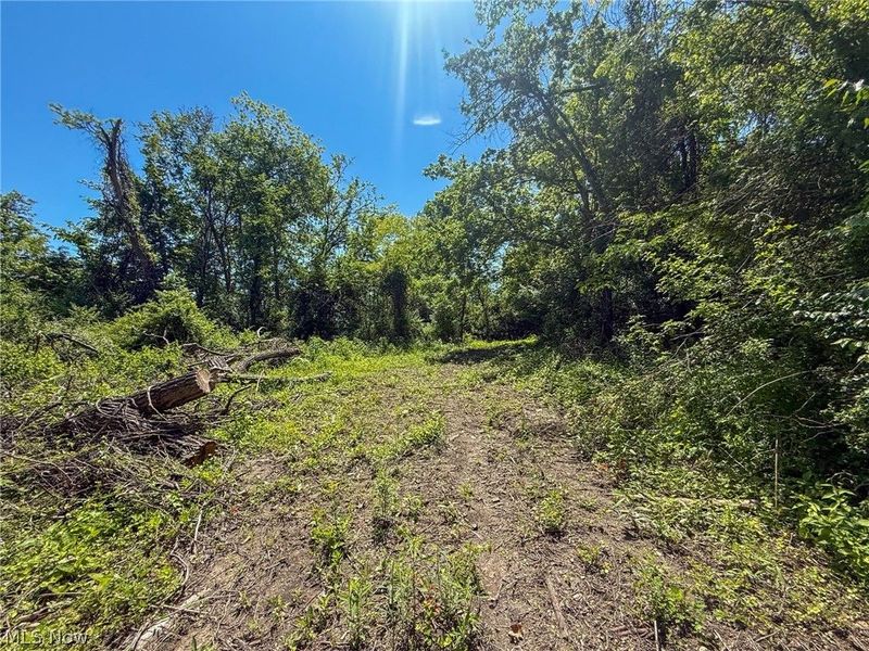 Lot 3 Altamont Rd, Mingo Junction, OH 43938 Photo 15