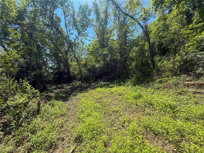 Lot 3 Altamont Rd, Mingo Junction, OH 43938 Photo 16