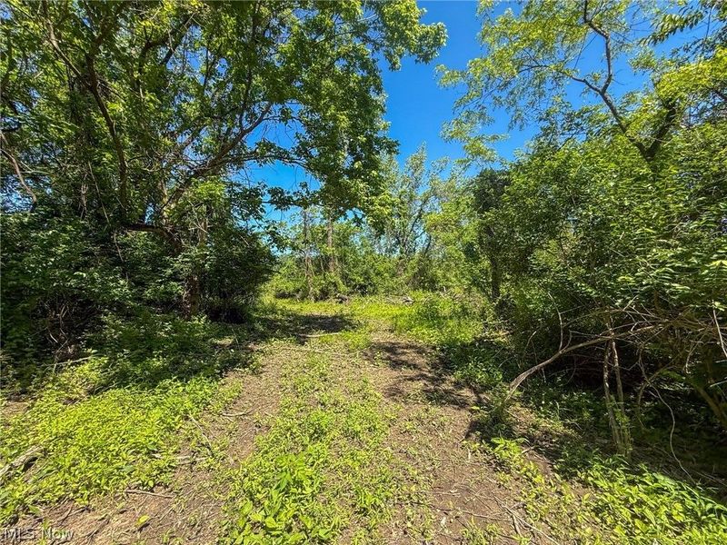 Lot 3 Altamont Rd, Mingo Junction, OH 43938 Photo 17