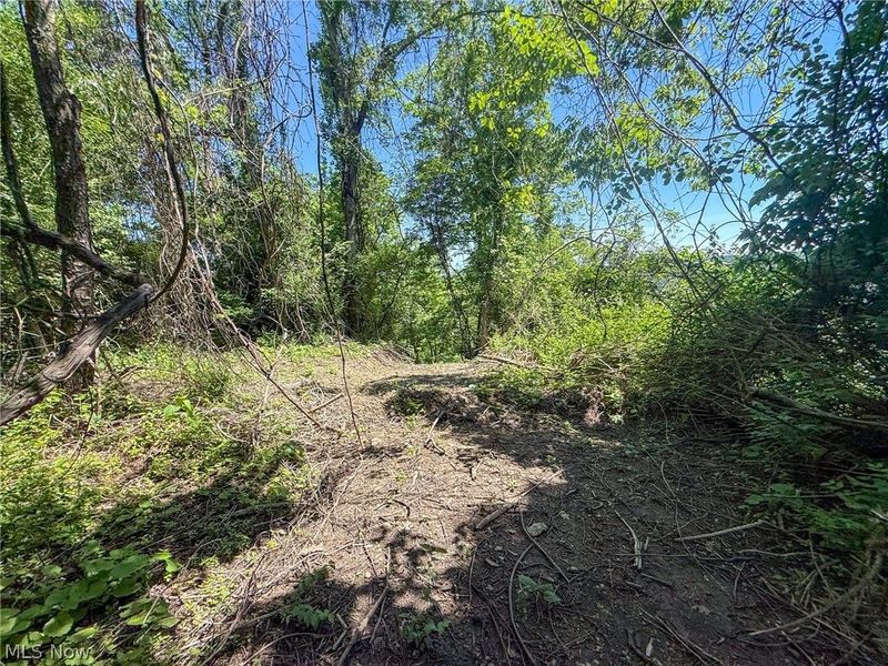 Lot 3 Altamont Rd, Mingo Junction, OH 43938 Photo 18