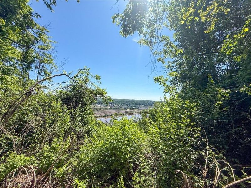 Lot 3 Altamont Rd, Mingo Junction, OH 43938 Photo 19
