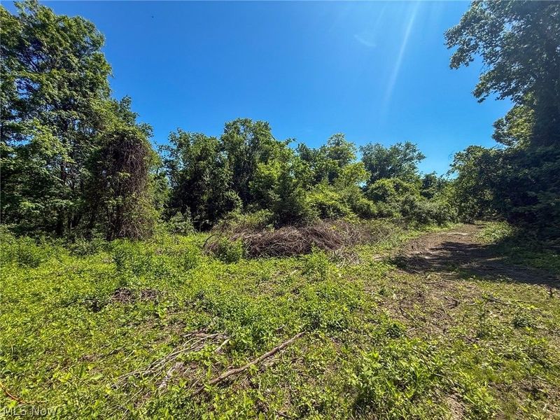 Lot 3 Altamont Rd, Mingo Junction, OH 43938 Photo 2