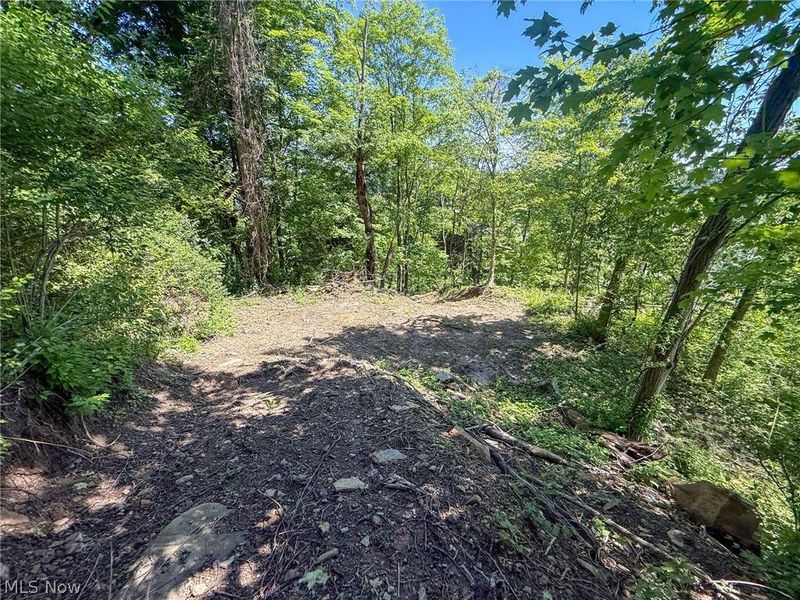 Lot 3 Altamont Rd, Mingo Junction, OH 43938 Photo 20