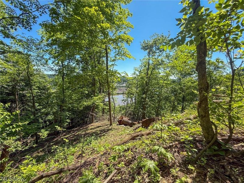 Lot 3 Altamont Rd, Mingo Junction, OH 43938 Photo 21