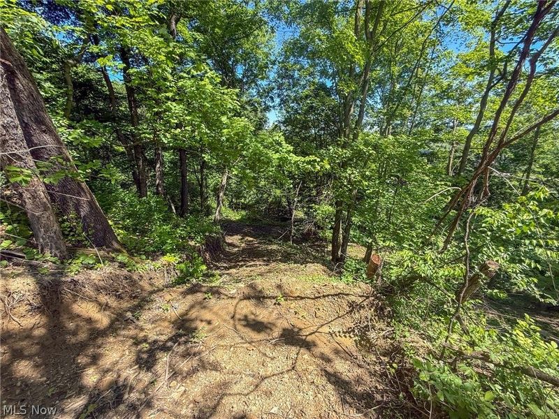 Lot 3 Altamont Rd, Mingo Junction, OH 43938 Photo 22