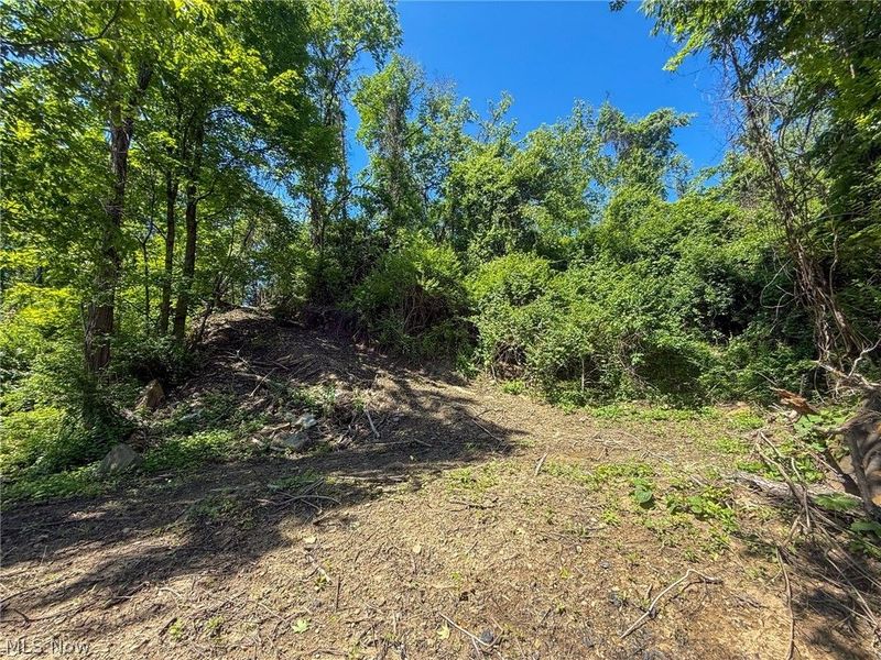Lot 3 Altamont Rd, Mingo Junction, OH 43938 Photo 23