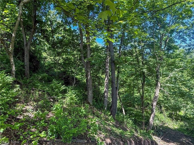 Lot 3 Altamont Rd, Mingo Junction, OH 43938 Photo 24