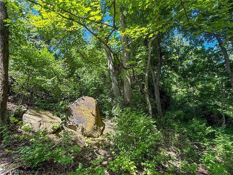 Lot 3 Altamont Rd, Mingo Junction, OH 43938 Photo 25
