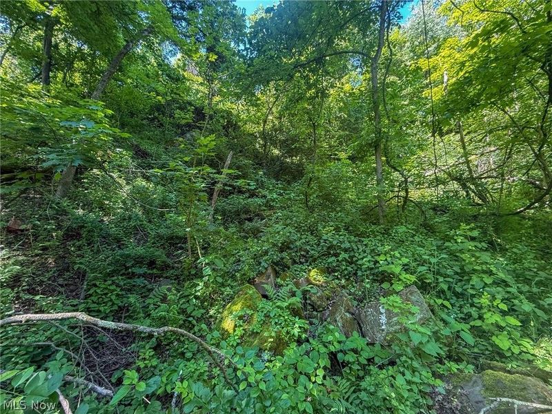 Lot 3 Altamont Rd, Mingo Junction, OH 43938 Photo 26
