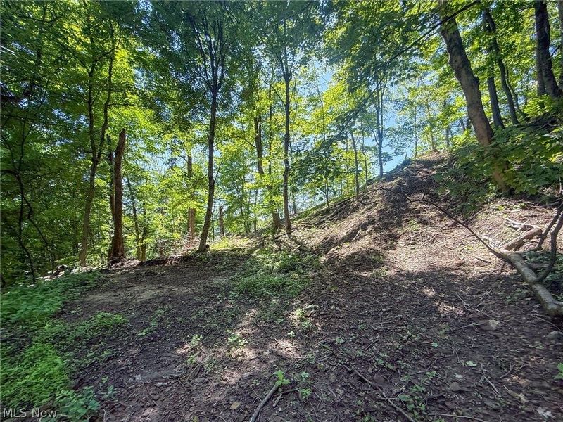 Lot 3 Altamont Rd, Mingo Junction, OH 43938 Photo 27