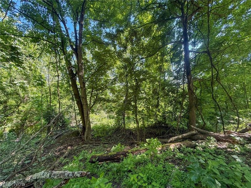 Lot 3 Altamont Rd, Mingo Junction, OH 43938 Photo 28