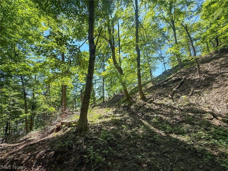 Lot 3 Altamont Rd, Mingo Junction, OH 43938 Photo 29
